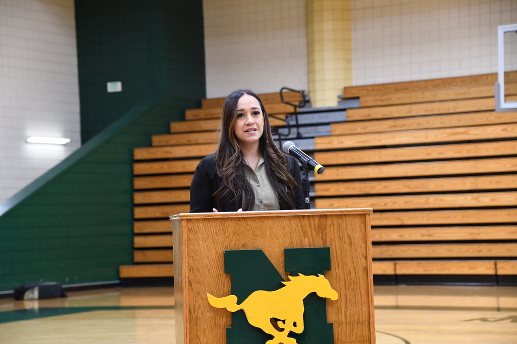 NHS NLI
