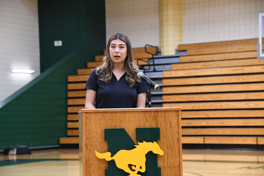 NHS NLI