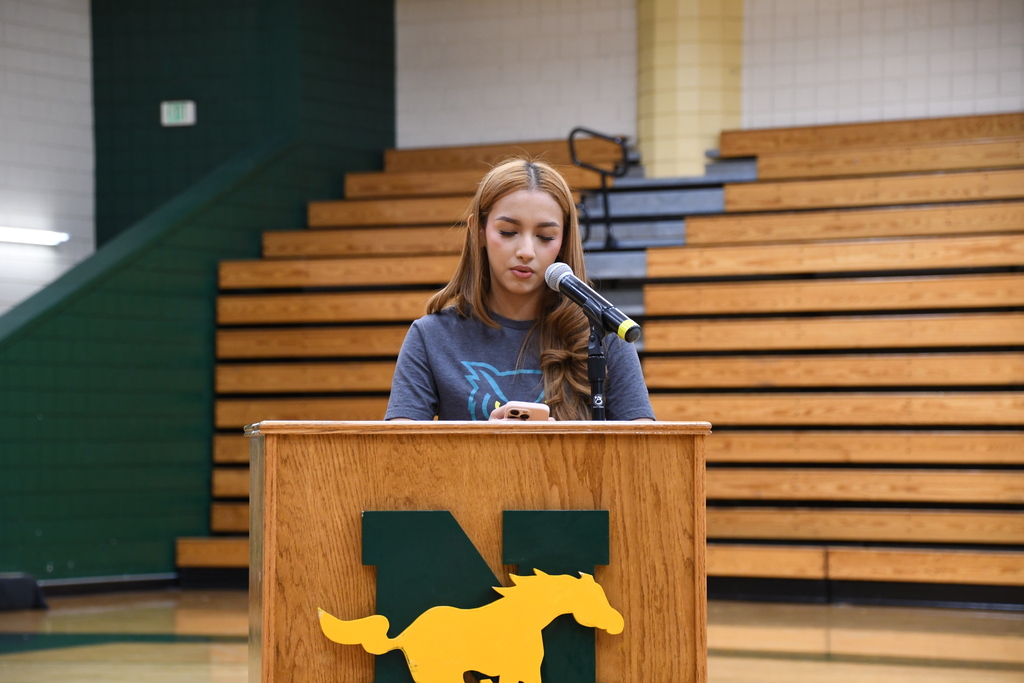NHS NLI