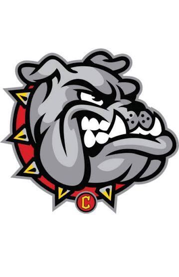 bulldog logo