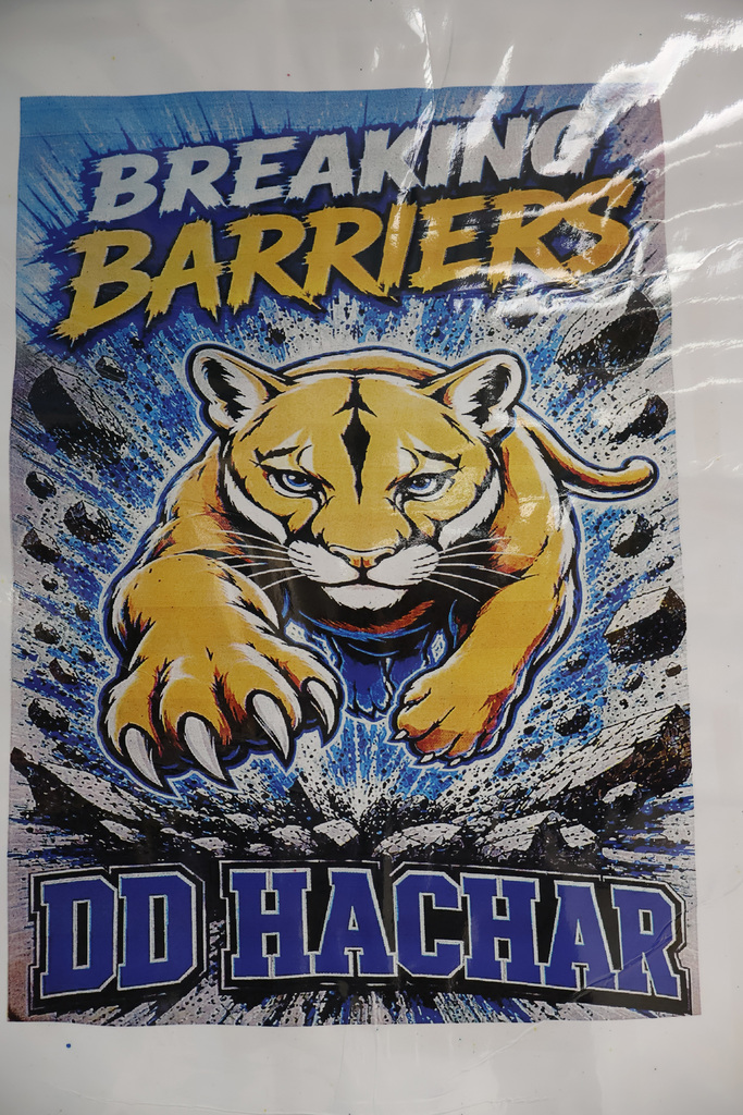 D.D. Hachar Elementary