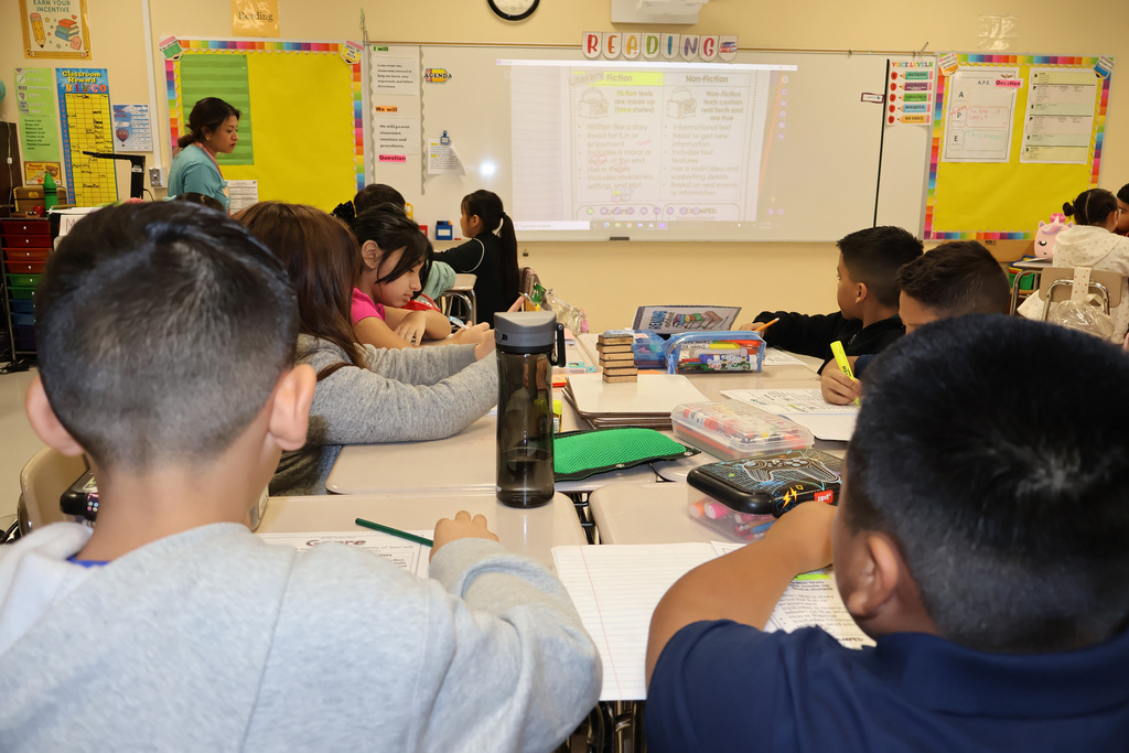 D.D. Hachar Elementary