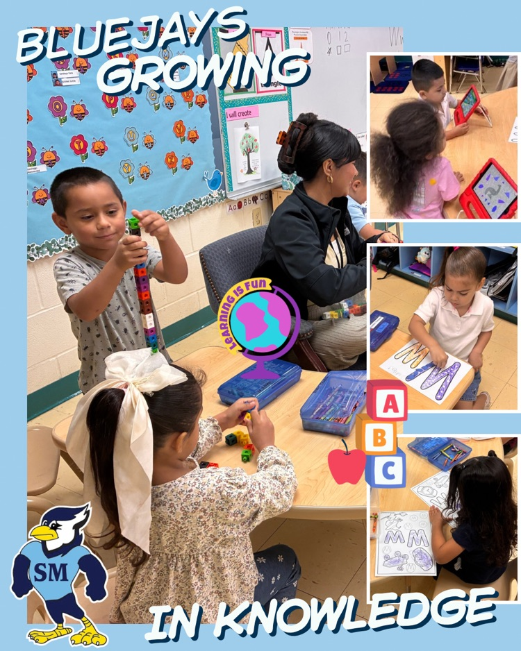 BlueJay learning