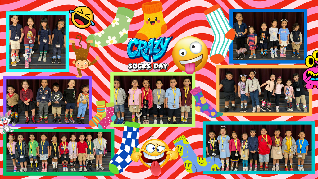 crazy socks