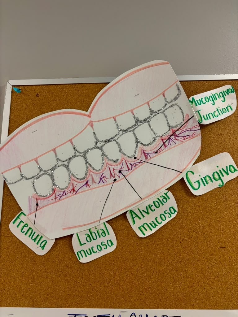 dental lesson