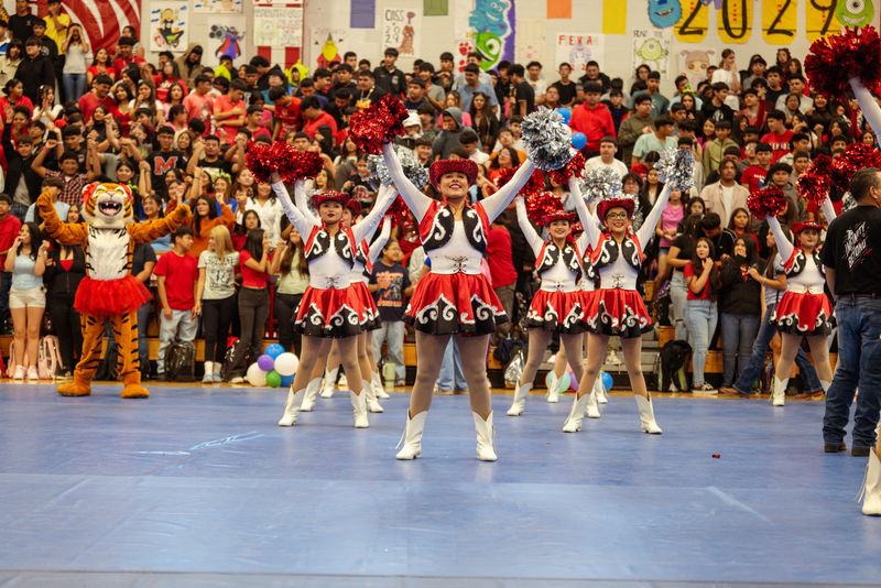 Tigerettes