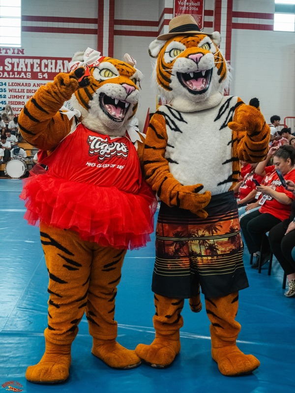 tigers
