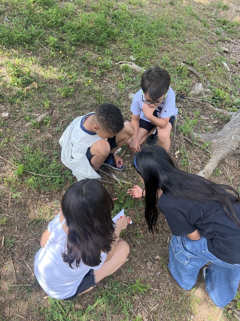students exploring in the grass