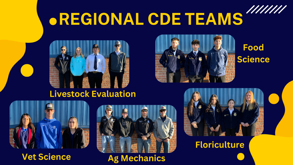 Regional FFA CDE Teams