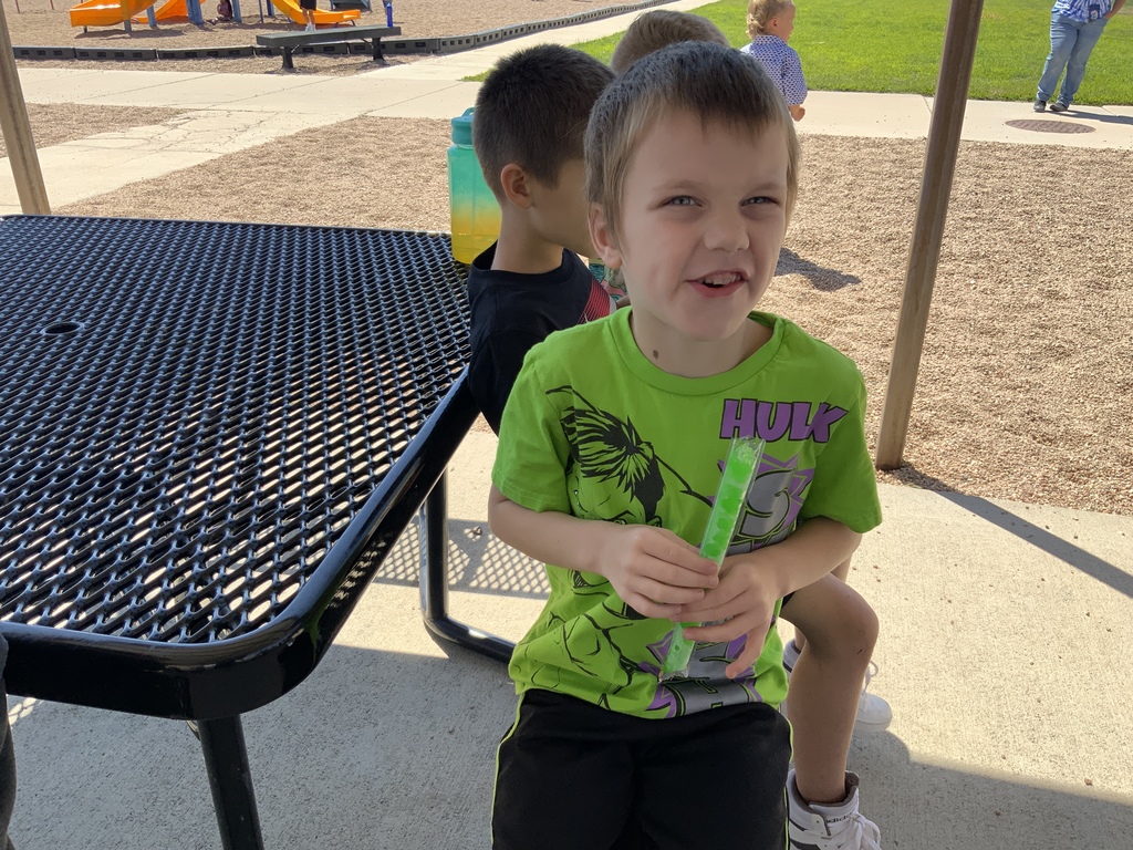 Popsicle pics from LAES perfect attendance