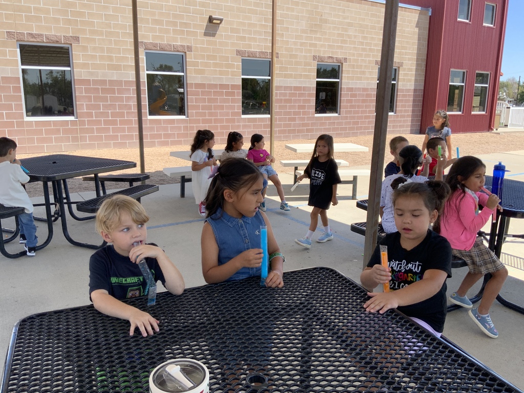Popsicle pics from LAES perfect attendance