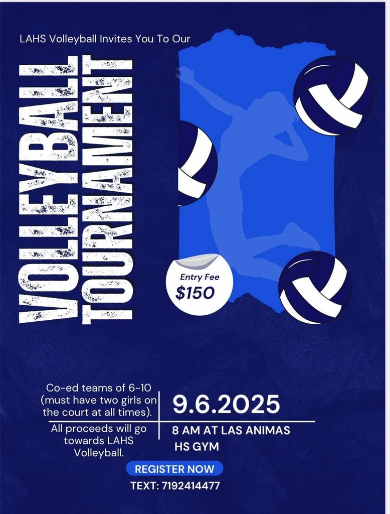 HS VB tournament flyer