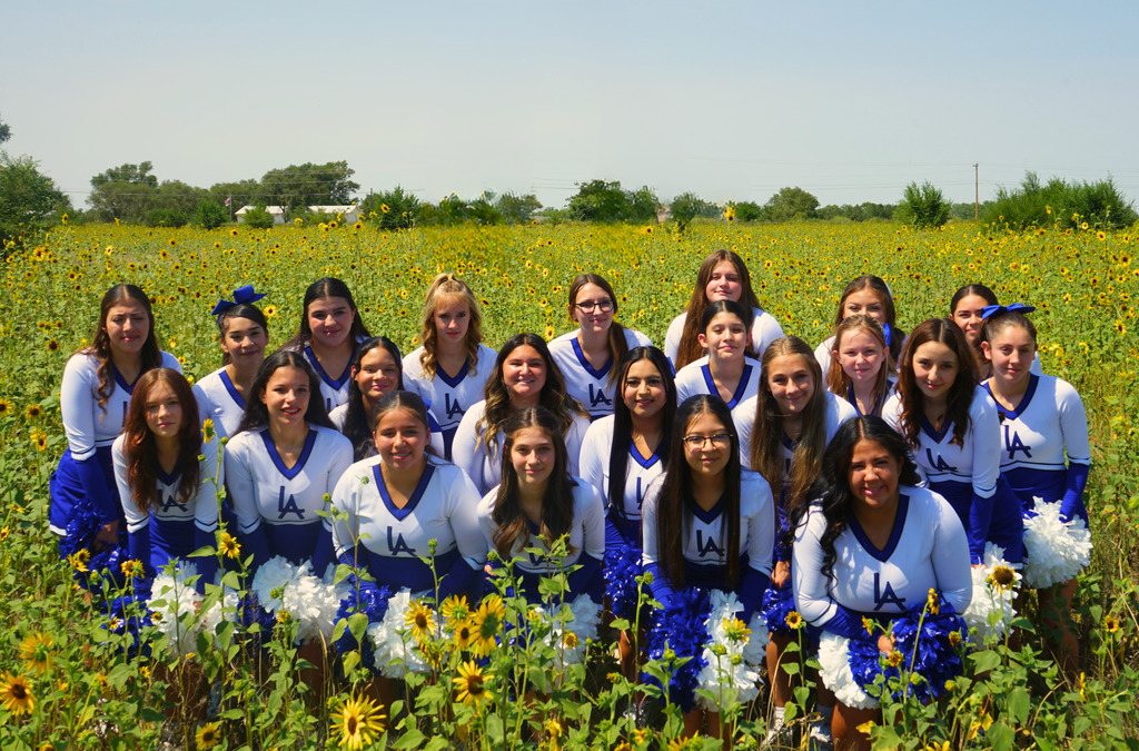 HS cheer pic