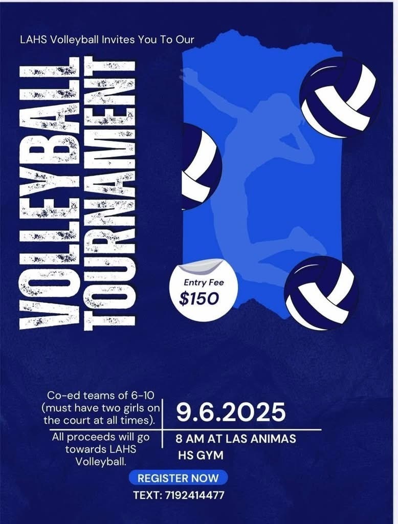 LAHS VB tournament fundraiser