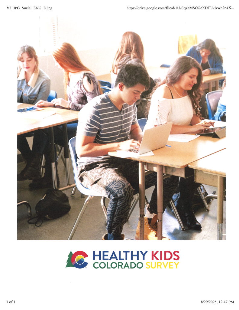 healthy kids survey info