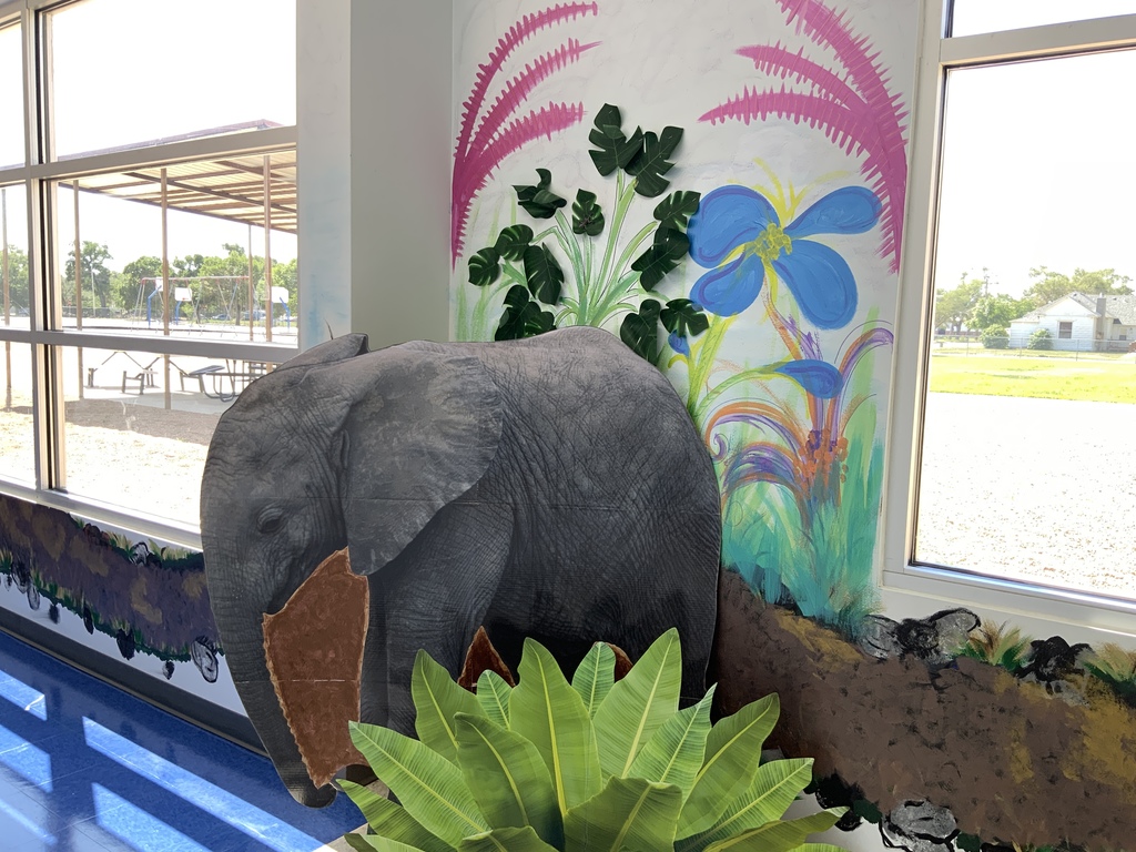 AR wall decoration pics 