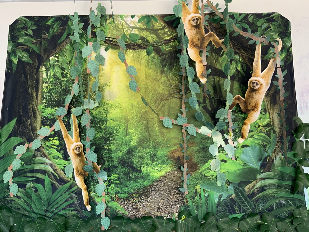 AR wall decoration pics 