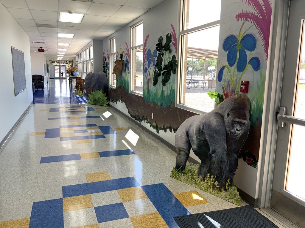 AR wall decoration pics 