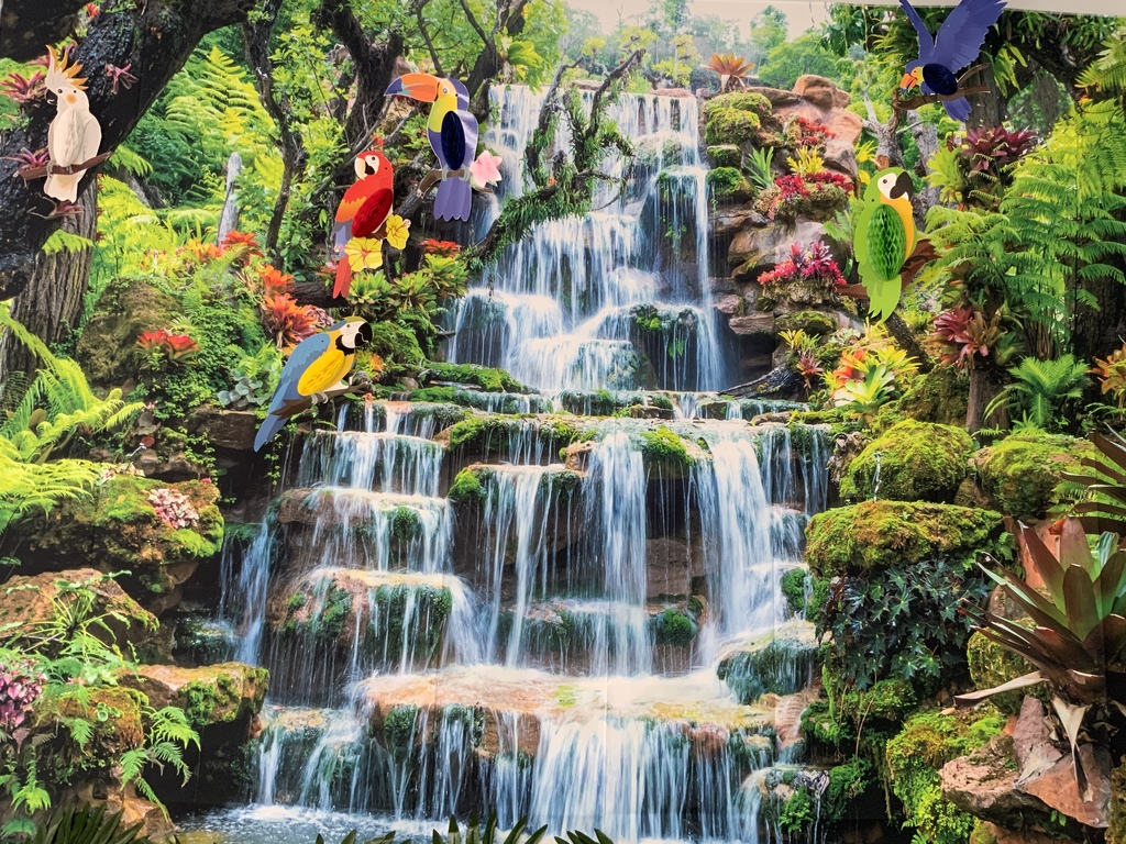 AR wall decoration pics 