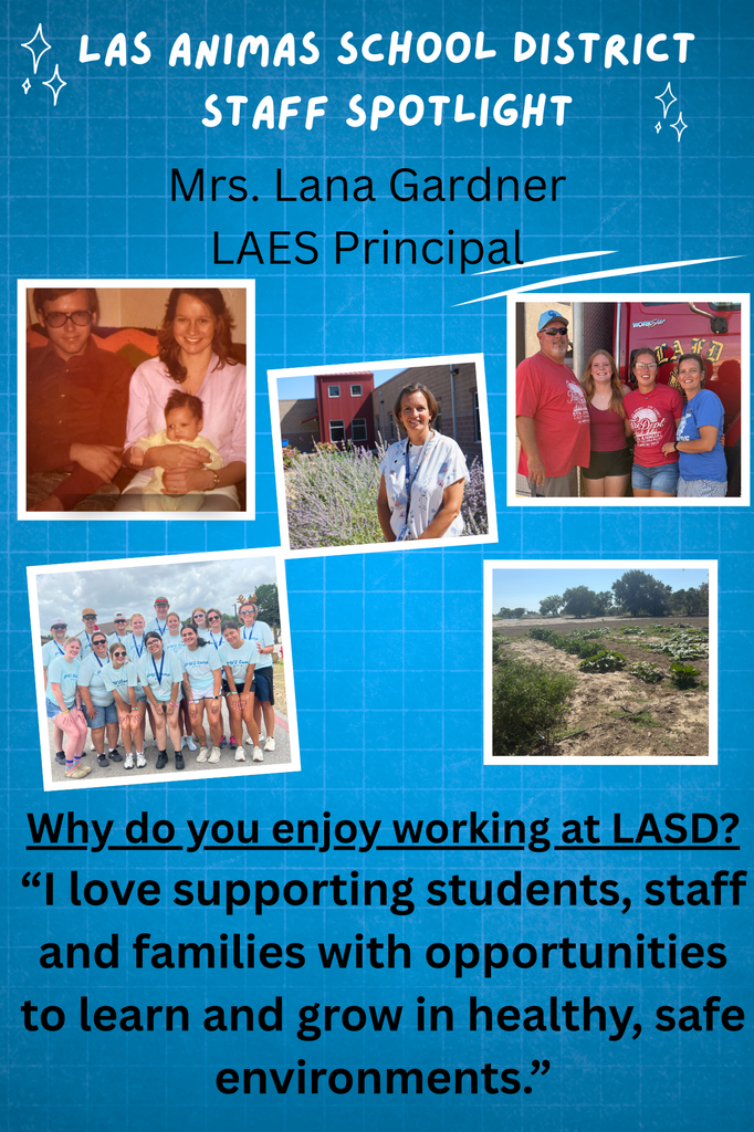 staff spotlight flyer