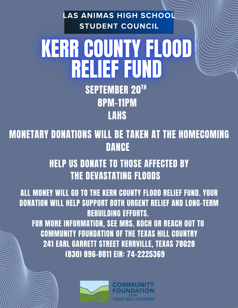 HOCO dance donation flyer