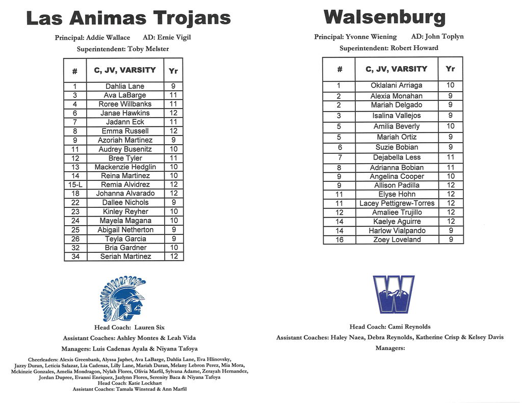 HS VB program for HOCO game 