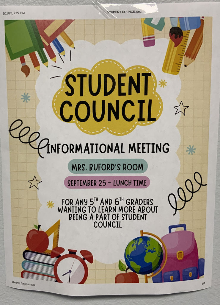 laes stuco flyer
