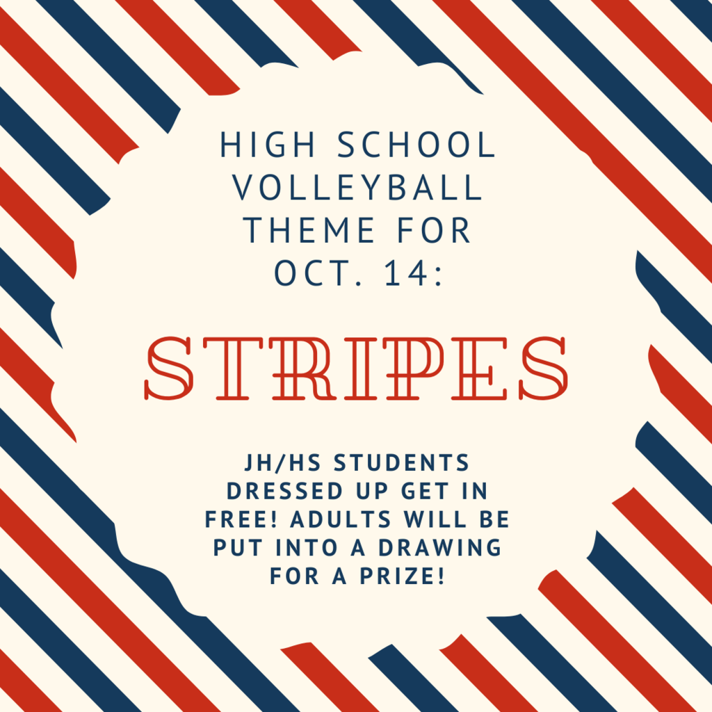 HS Volleyball theme night flyer