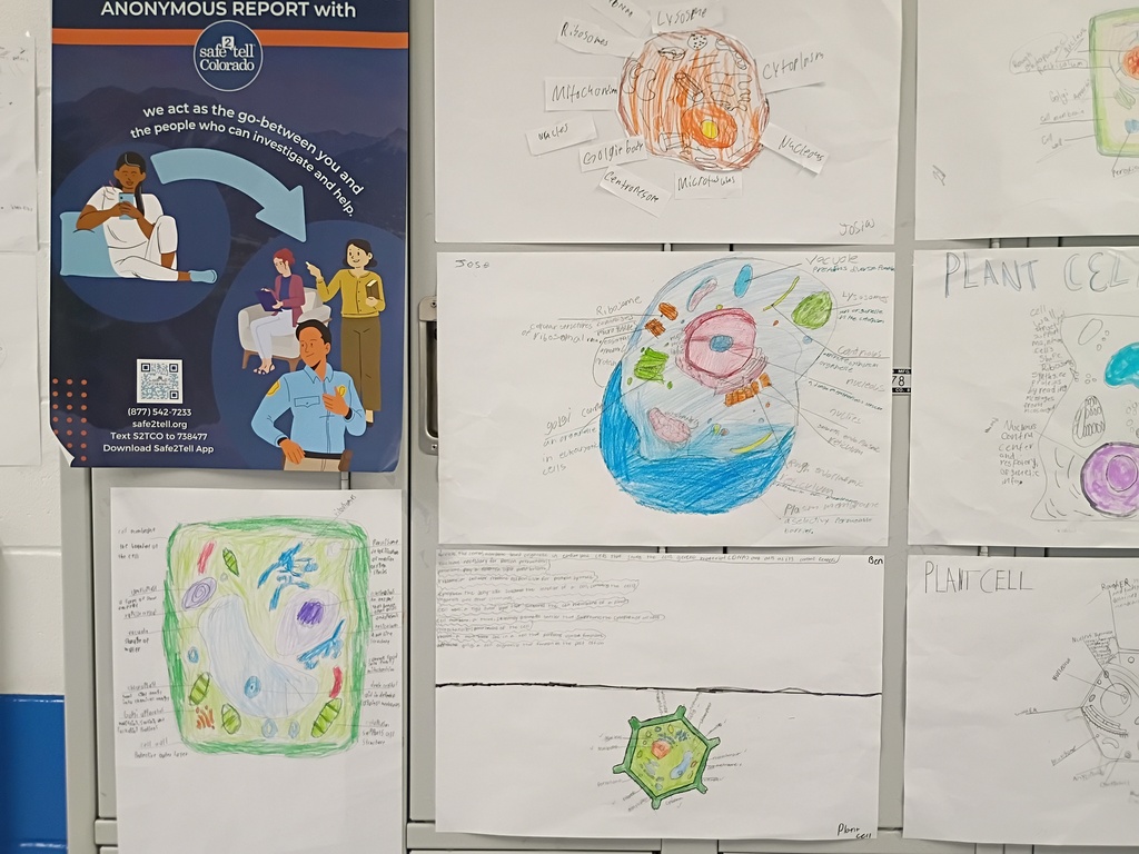 8th grade poster project on cells