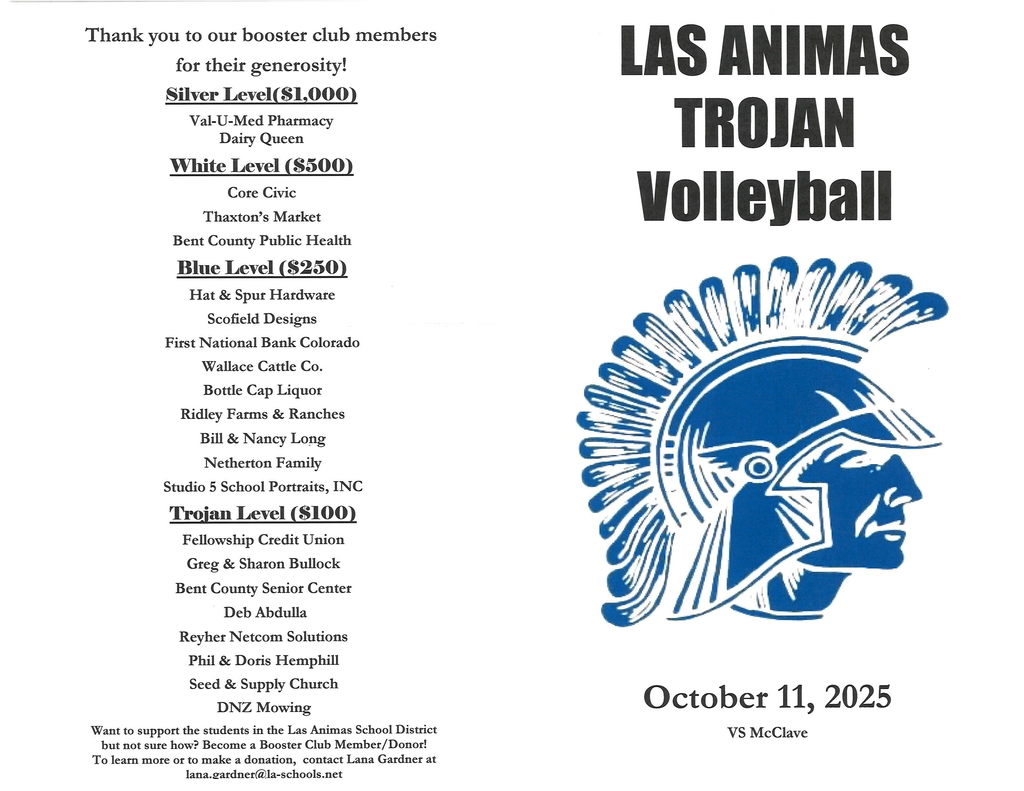 Vb program