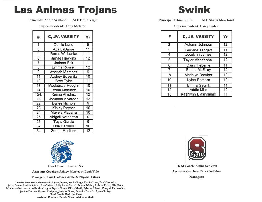 Vb program