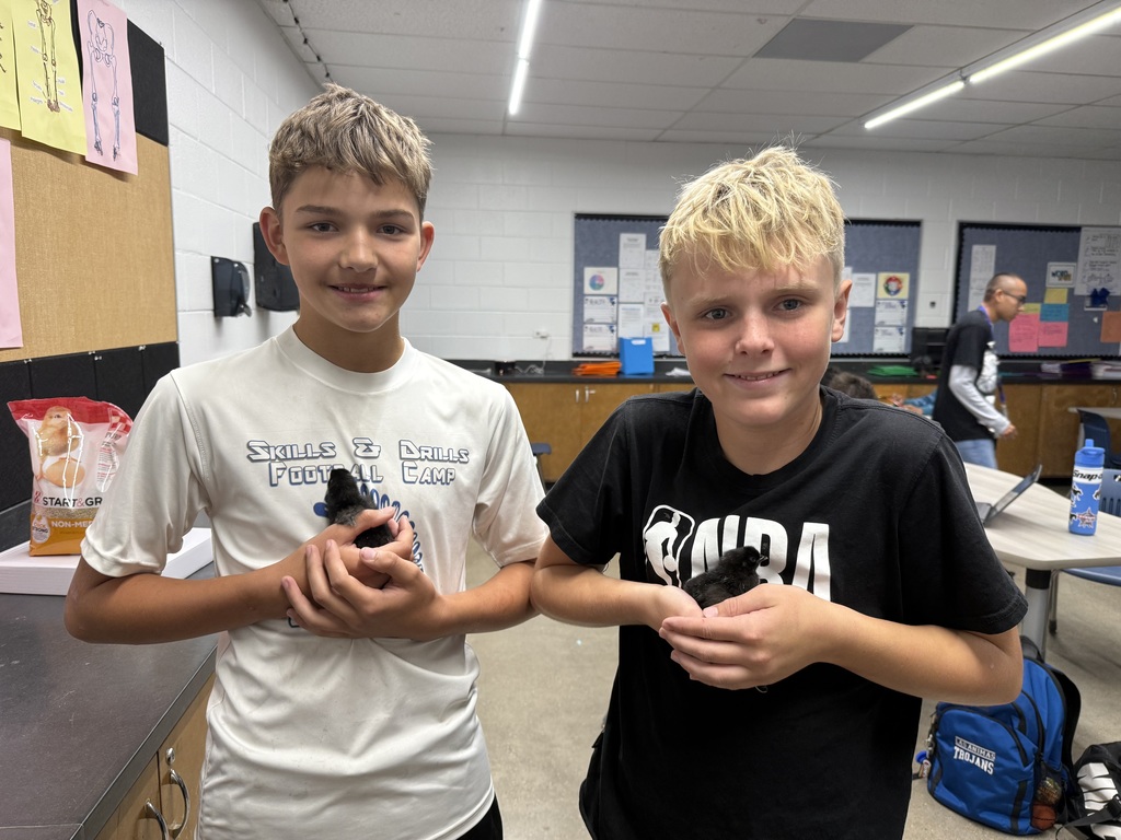 Food science class hatching chicks pic