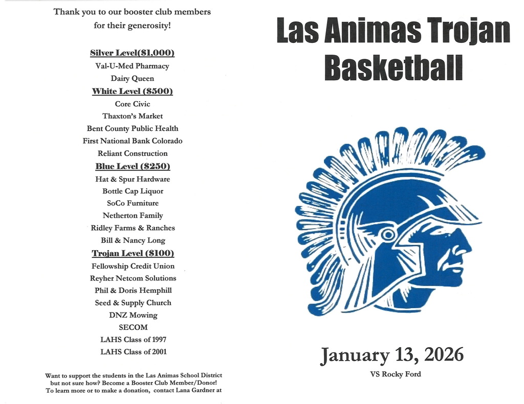 Basketball program
