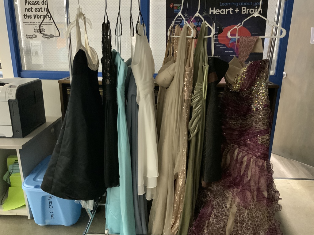 Dresses donated for prom or continuation 