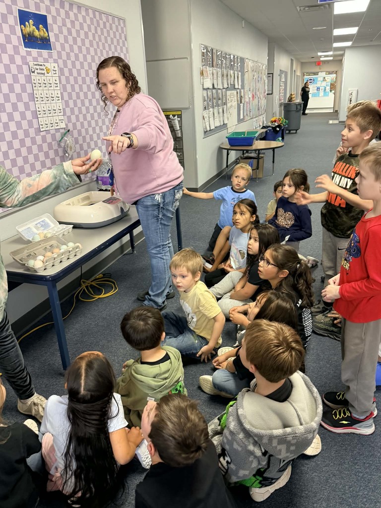 Kindergarten class pics putting eggs in incubator 
