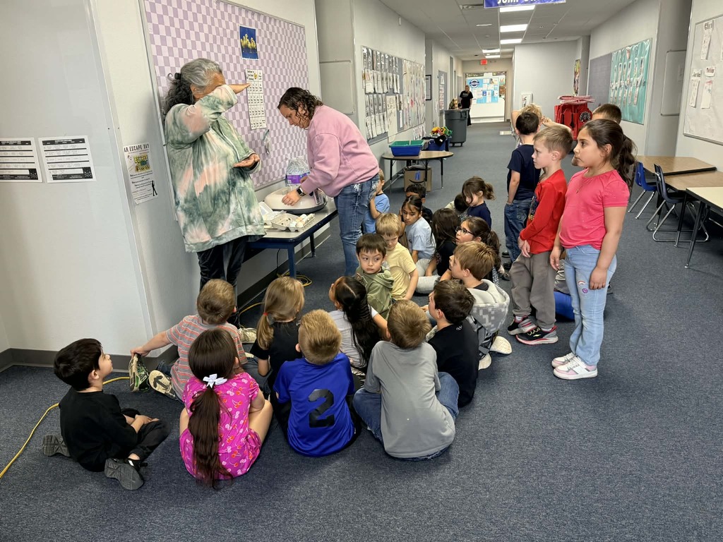 Kindergarten class pics putting eggs in incubator 