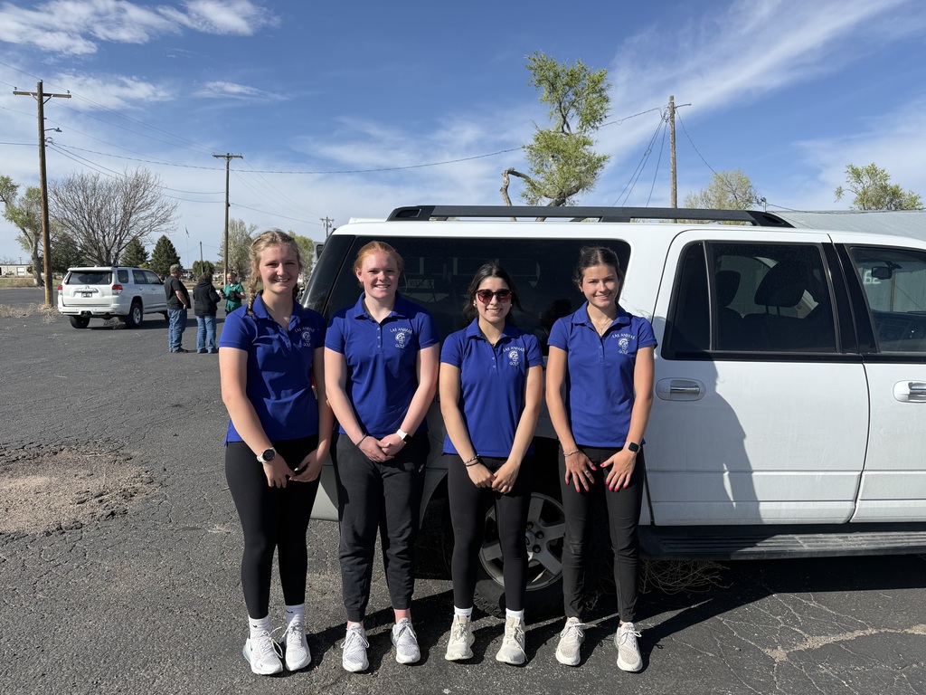 HS girls golf picture