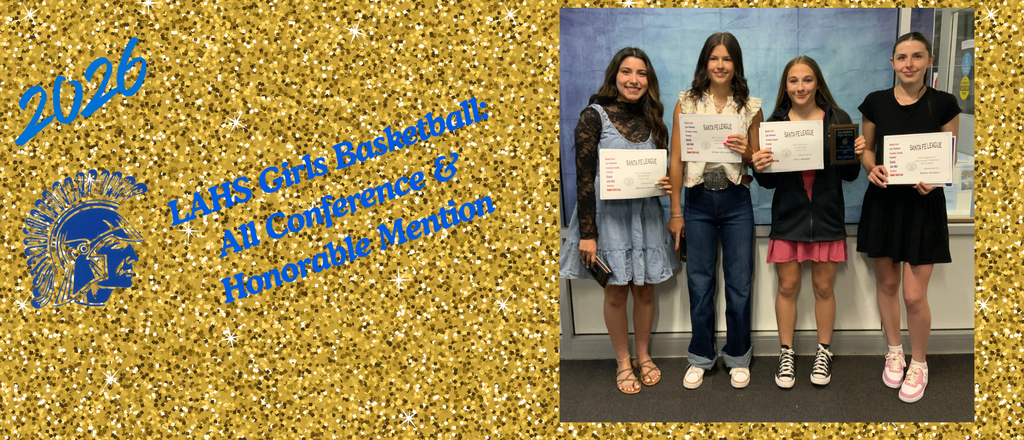 HS girls BB all conf awards