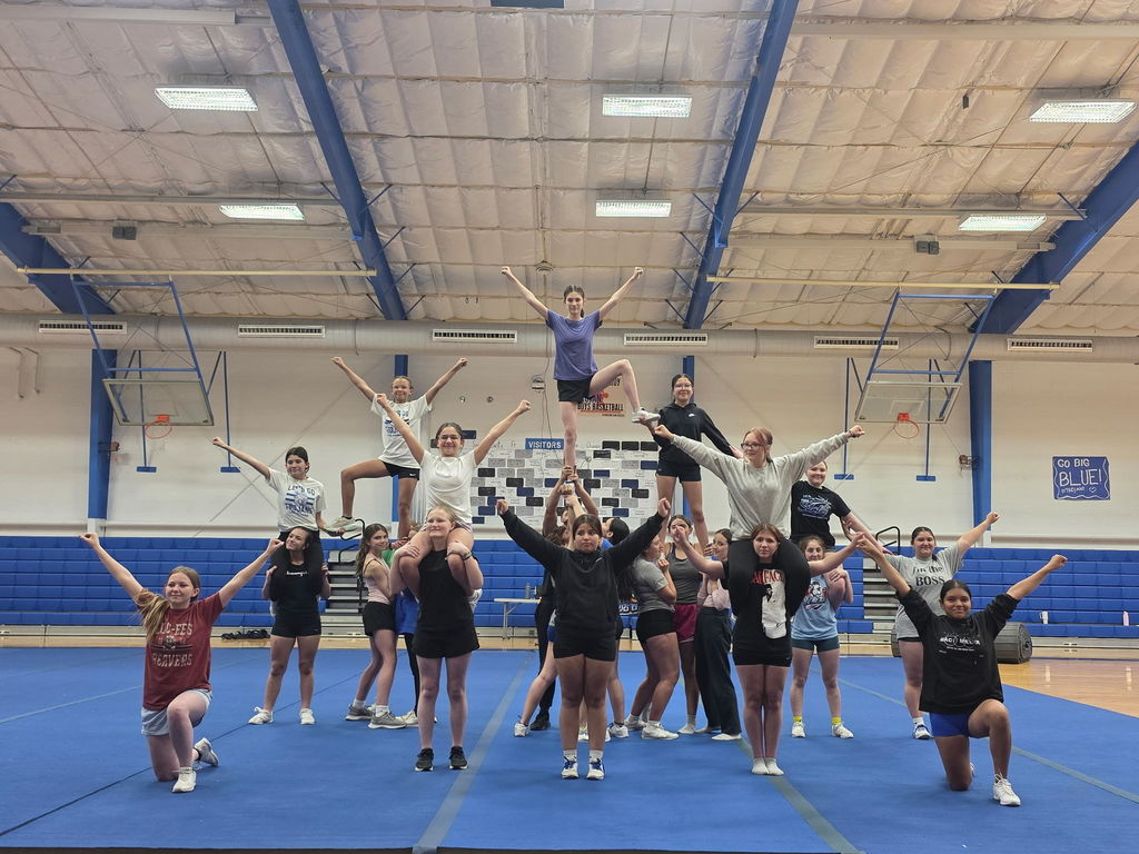 Cheer tryout pics 