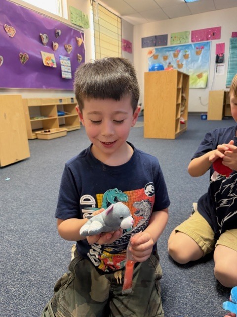 Pics of preschool class "adopting" a pet
