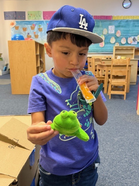 Pics of preschool class "adopting" a pet