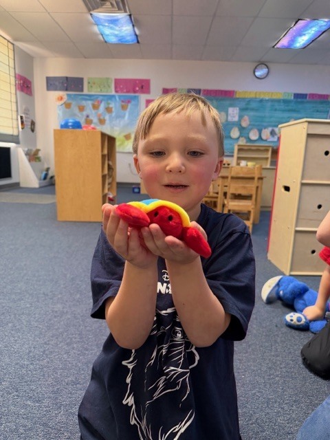 Pics of preschool class "adopting" a pet