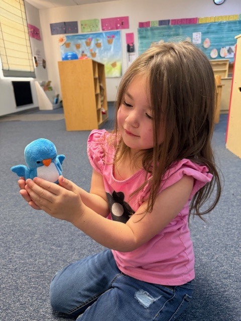 Pics of preschool class "adopting" a pet