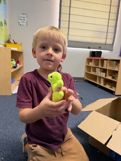 Pics of preschool class "adopting" a pet