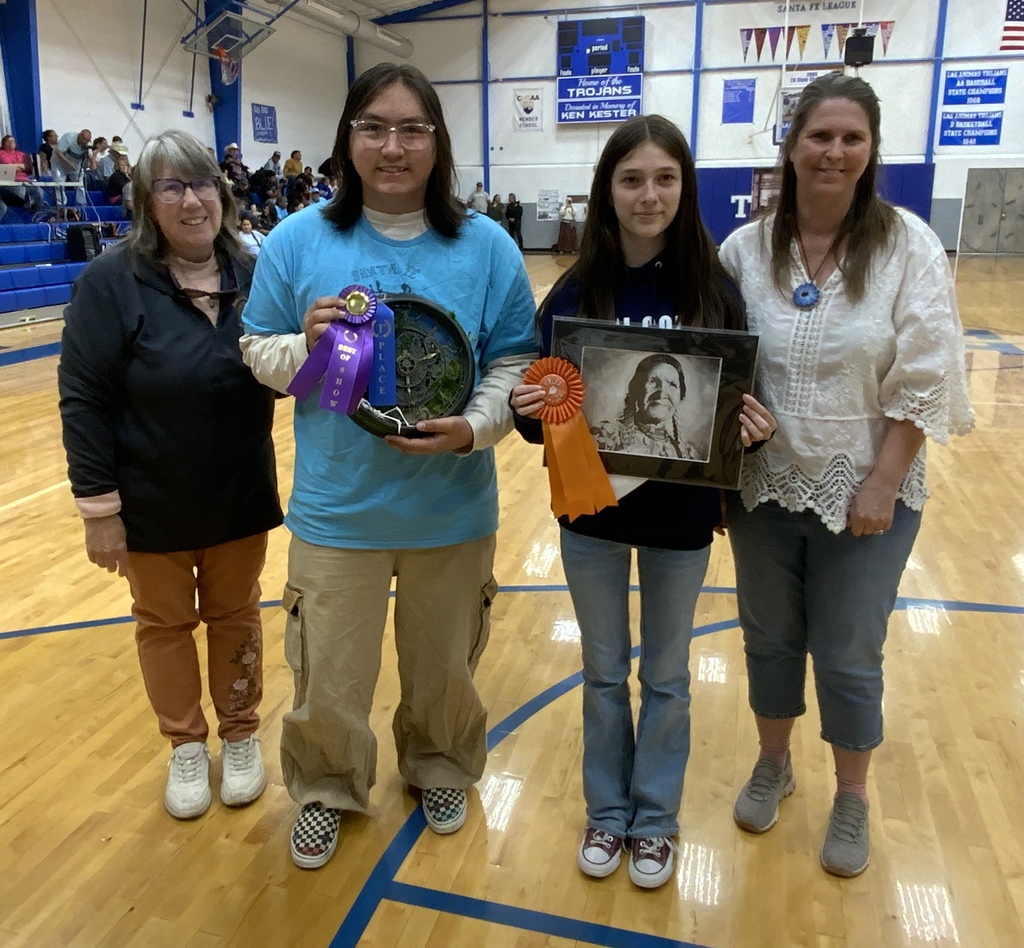 Art award for SFTD art show 