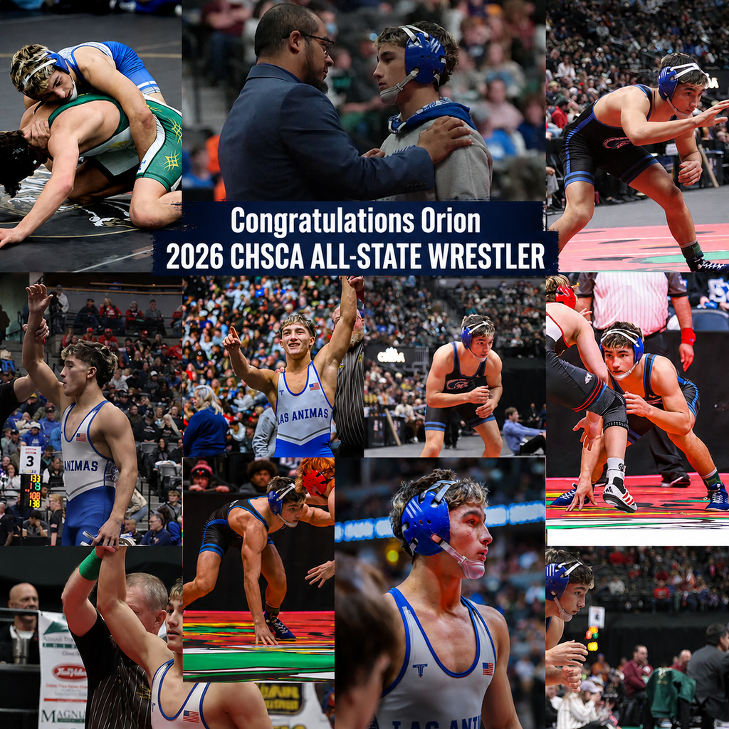 wrestling all state collage of pics