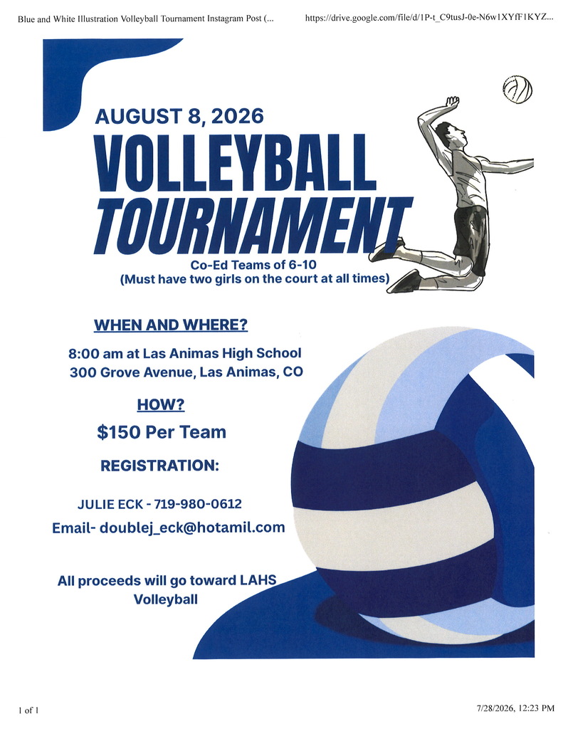 HS VB tournament flyer