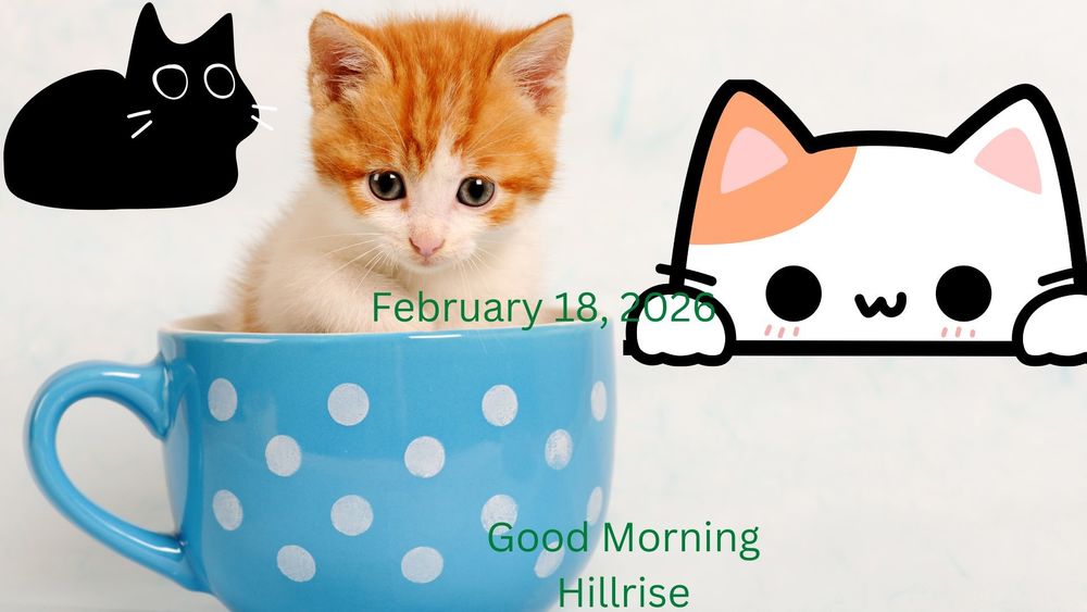 Announcements February 18, 2026