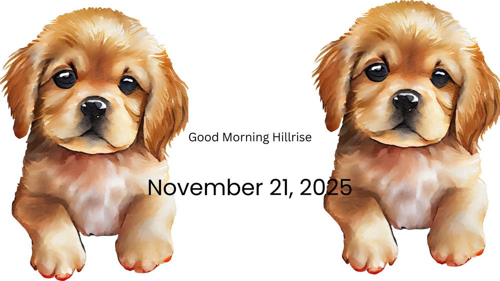 Announcements November 21, 2025