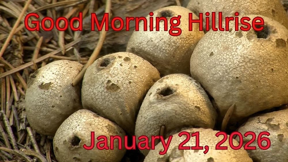 Announcements January 21, 2026